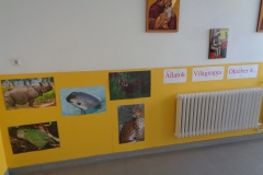 DSC00276