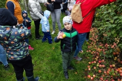 IMG_20241009_102807