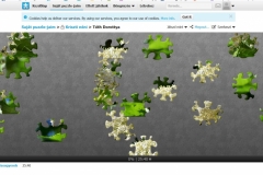puzzle-Dorottya