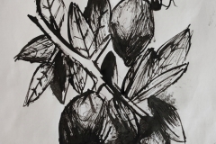 Veres-Lotti-2