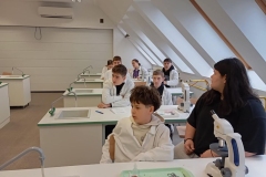 Messenger_creation_D2618386-BD95-4ED7-9D9D-15D5C14EDD54