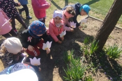 1_0fb5a51d-4c91-42b4-8191-8aa27ea5a977