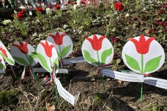 b6b41e4f-4fa3-4c2a-8ee6-1f44faafb26e