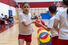 mozdulj_szentefrem_BSZI10