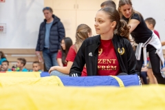 mozdulj_szentefrem_BSZI11