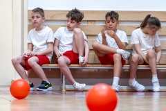 mozdulj_szentefrem_BSZI8