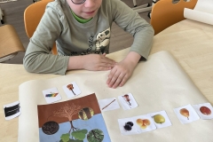 2bc5f7d8-7cbf-4e77-8f3d-e8689ed10c9b