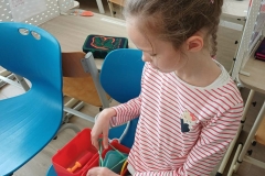 443066ca-8a26-42f3-aeac-260bca79048f