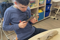 52aea321-74a4-4486-9096-e9fd9eba7a5c