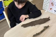 5f788200-52db-435d-9cbe-a9d2044daa9a