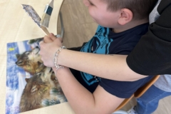 6c5170bb-77ed-431b-9fa9-3c13de4418c1