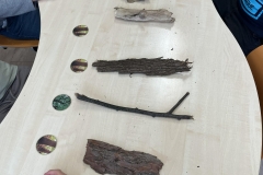 8ac8557c-e9fe-4aca-a733-a4cb6f260b66