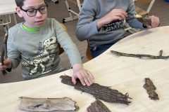 b82c7538-03cd-4feb-a725-8ab2fbe3404b