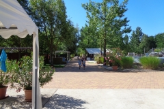 DSC08431