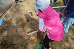 b1bb26c8-b953-4aca-ab61-2796ab942735