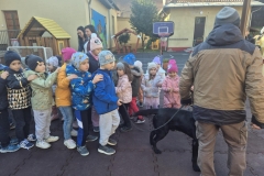 5b882f47-d845-409c-8868-ae2d969f851d