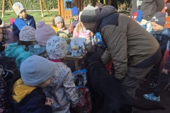 66b1e1e8-35d4-49e3-9a7c-de098c5a0d85