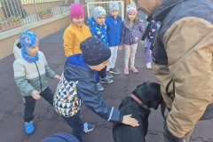 81c486ba-d661-4b6d-9d76-38ea860914cf