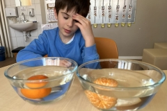 5e1bd7c8-1239-4c62-bc04-c782f3f5c0eb