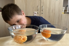 c80a9df4-d607-444b-95be-fc024965fc02