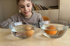 eb833ef3-40d4-4f0e-b7dd-99ebf982a5d3